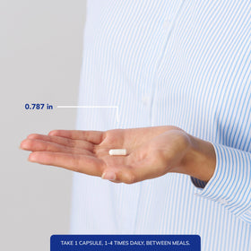 Emballage des capsules L-Glutamine Pure Encapsulations