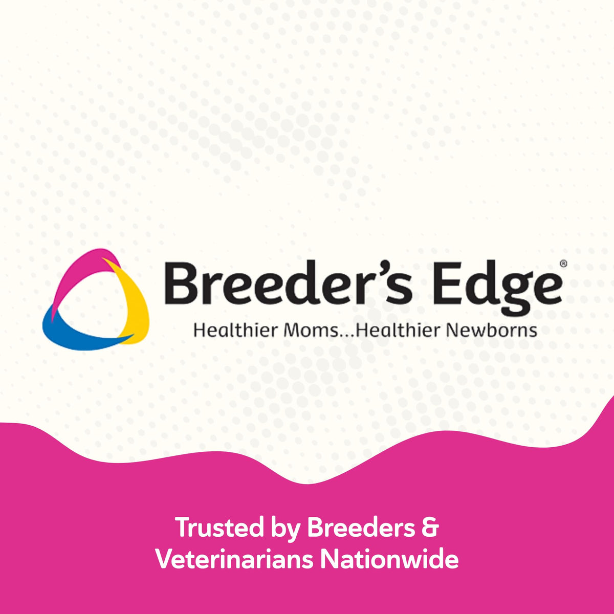 Emballage des chews prénatals Revival Animal Health sur fond blanc