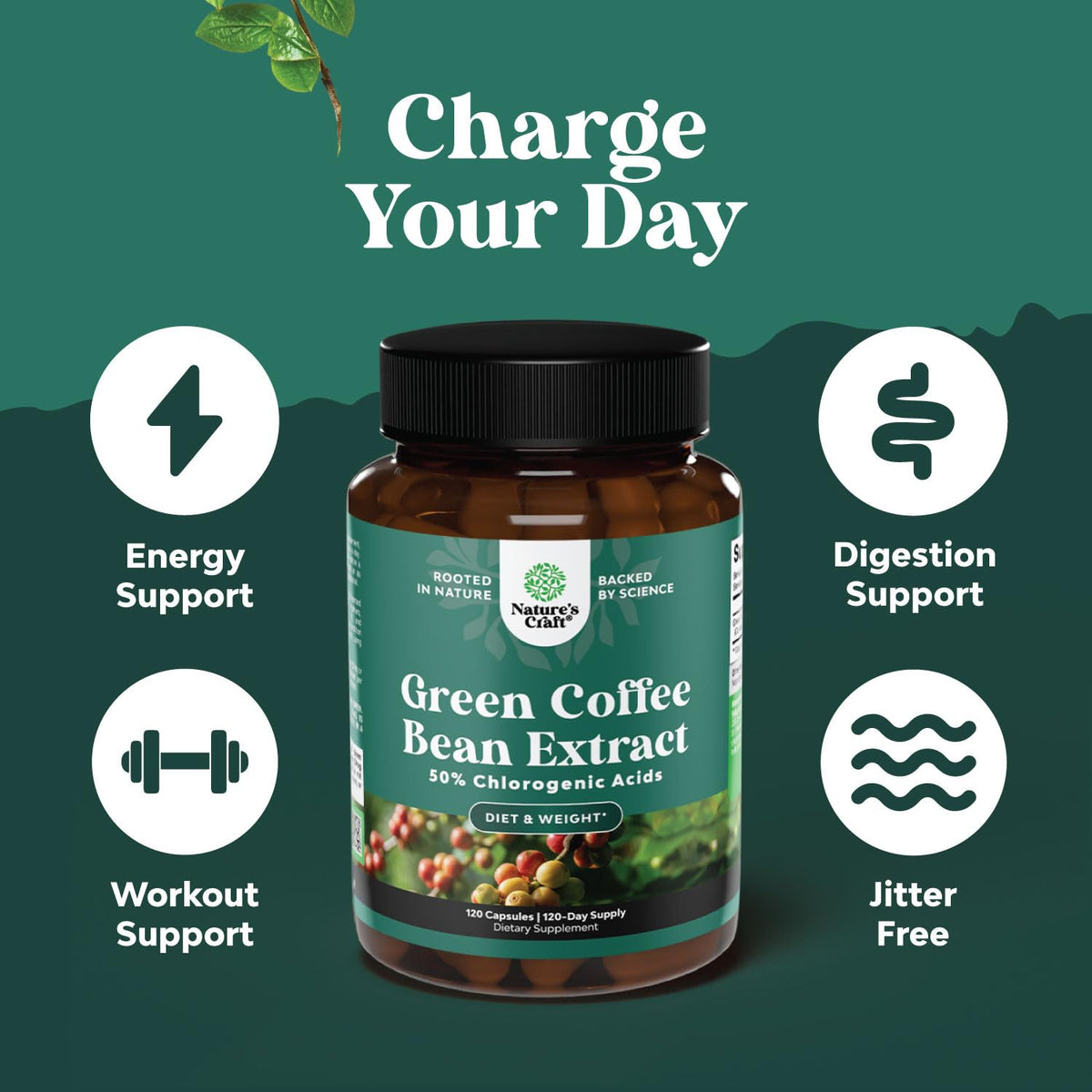 Emballage des comprimés d'extrait de grains de café vert Natures Craft