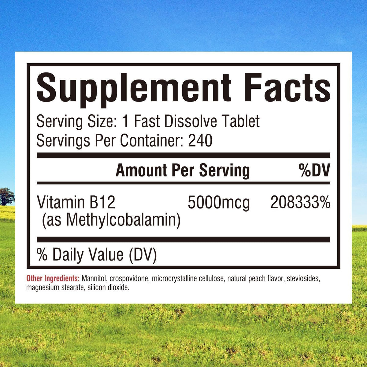 Emballage des comprimés de vitamine B12 Innate Vitality