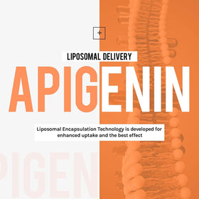 Emballage des gélules d'apigénine Cenffitio 500mg