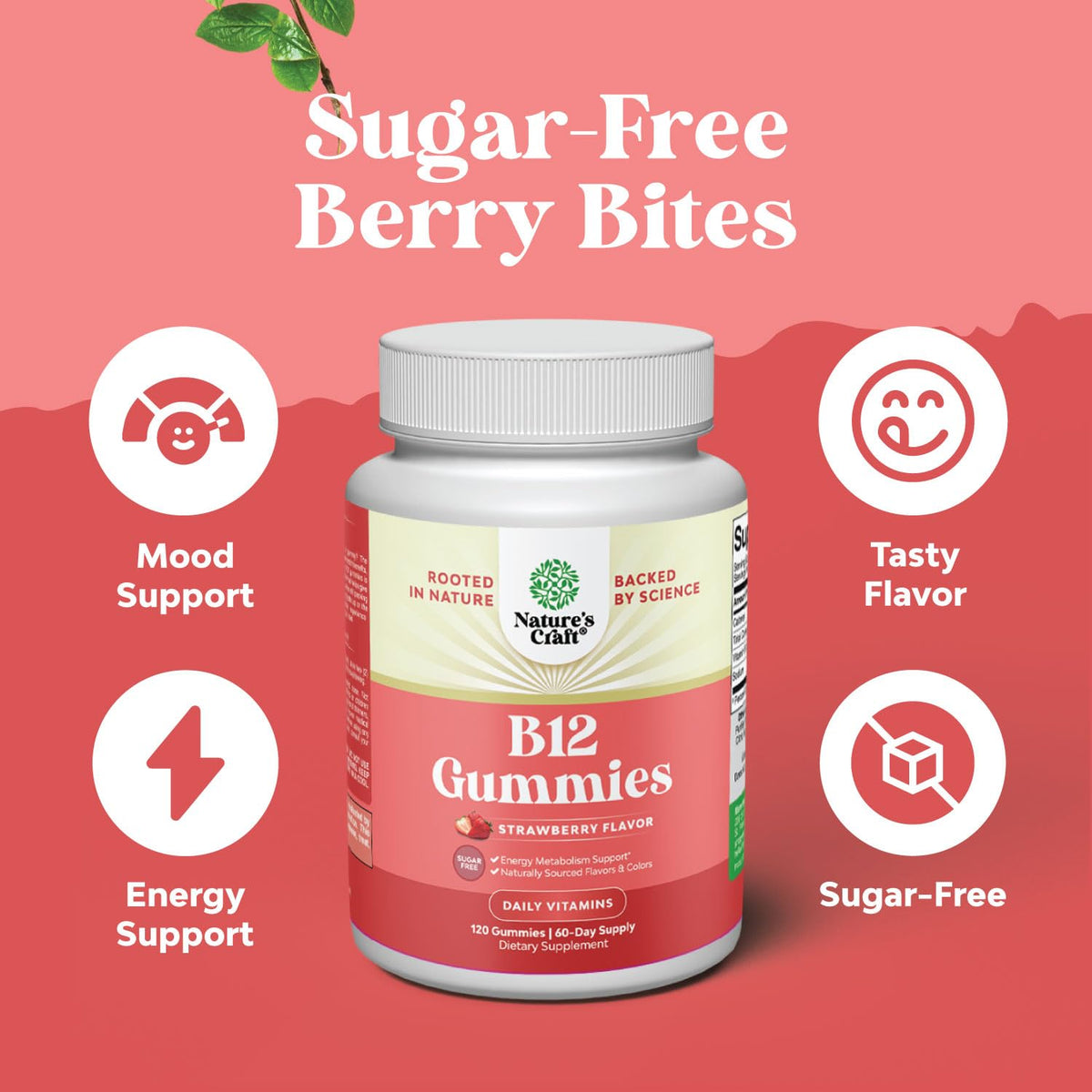 Emballage des gélules de Vitamine B12 Natures Craft