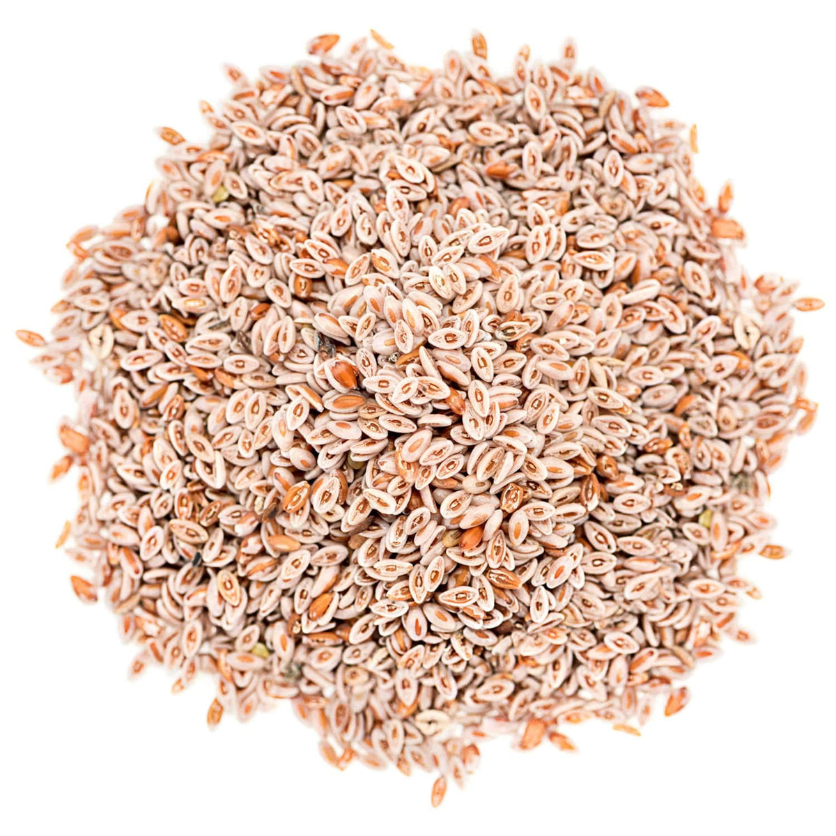 Emballage des graines de psyllium entières bio Food to Live