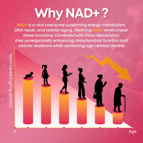 Emballage des gummies CNCHEF NAD+ avec informations nutritionnelles