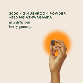 Emballage des Gummies de Champignons OM MUSHROOM SUPERFOOD