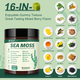 Emballage des gummies de mousse de mer GREVIP