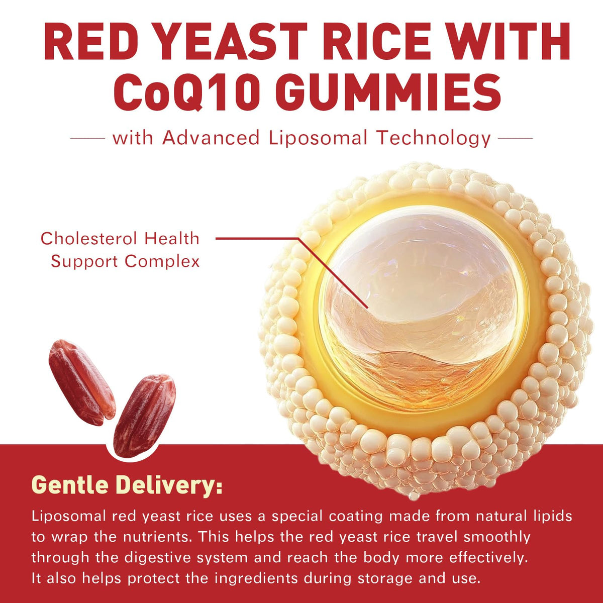 Emballage des gummies de riz rouge de Geeoasis, vue arrière