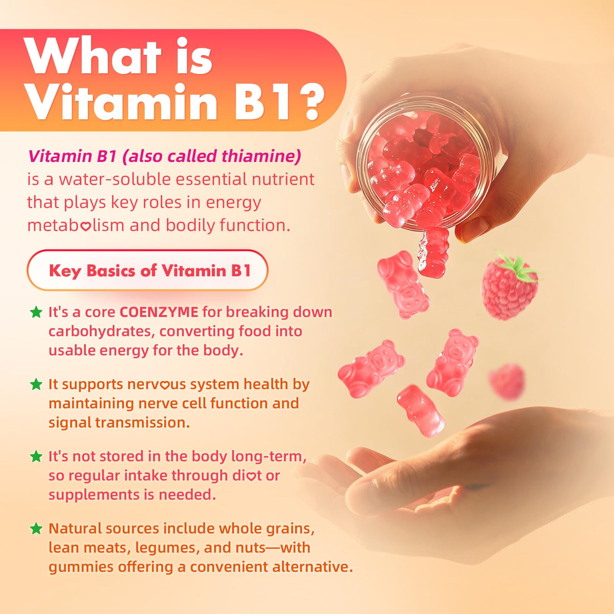Emballage des Gummies de Vitamine B1 MEENCCD