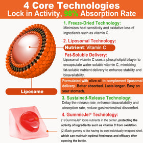 Emballage des Gummies de Vitamine C LILICARE 1000mg