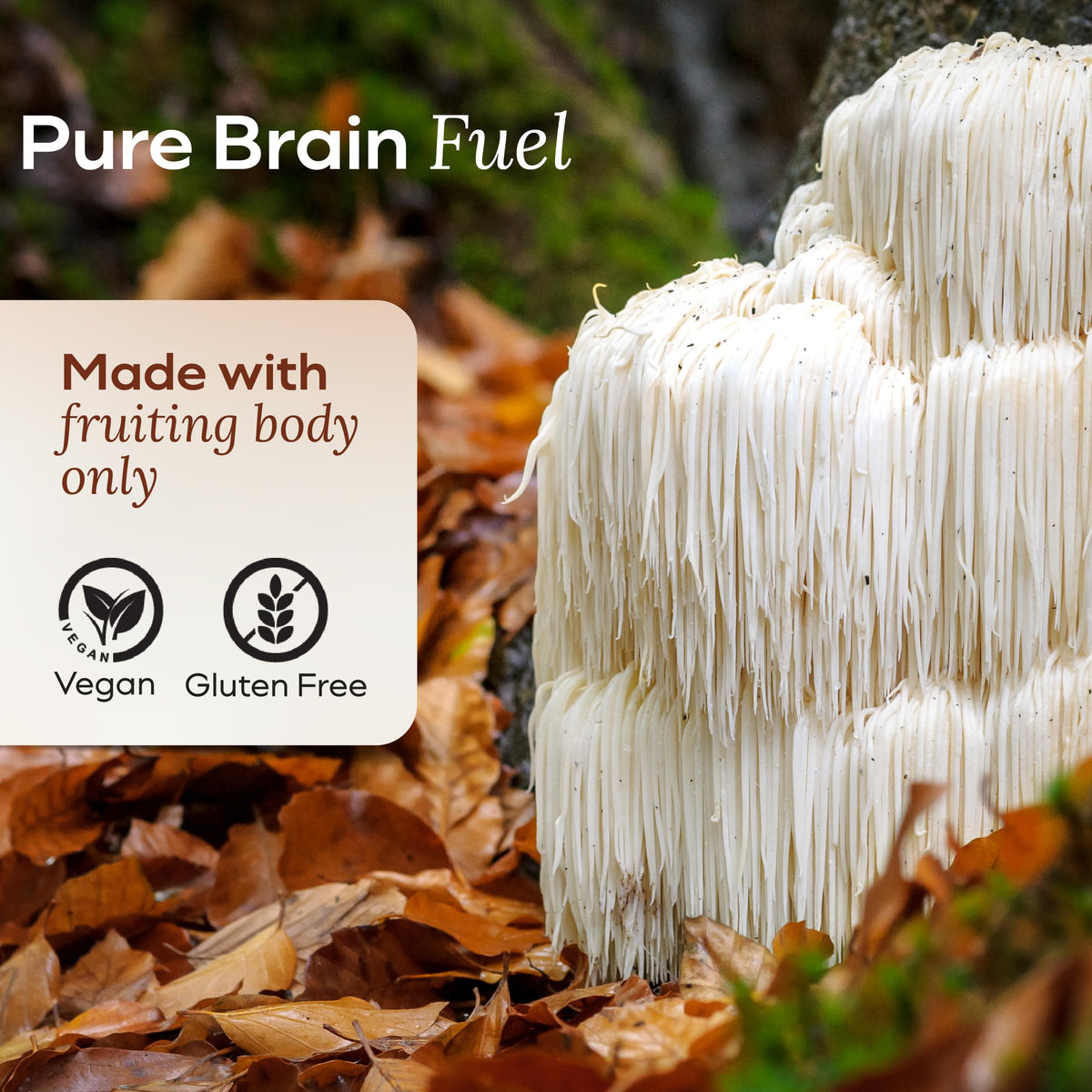 Emballage des Gummies Lion's Mane MYCL ouvert
