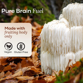 Emballage des Gummies Lion's Mane MYCL ouvert