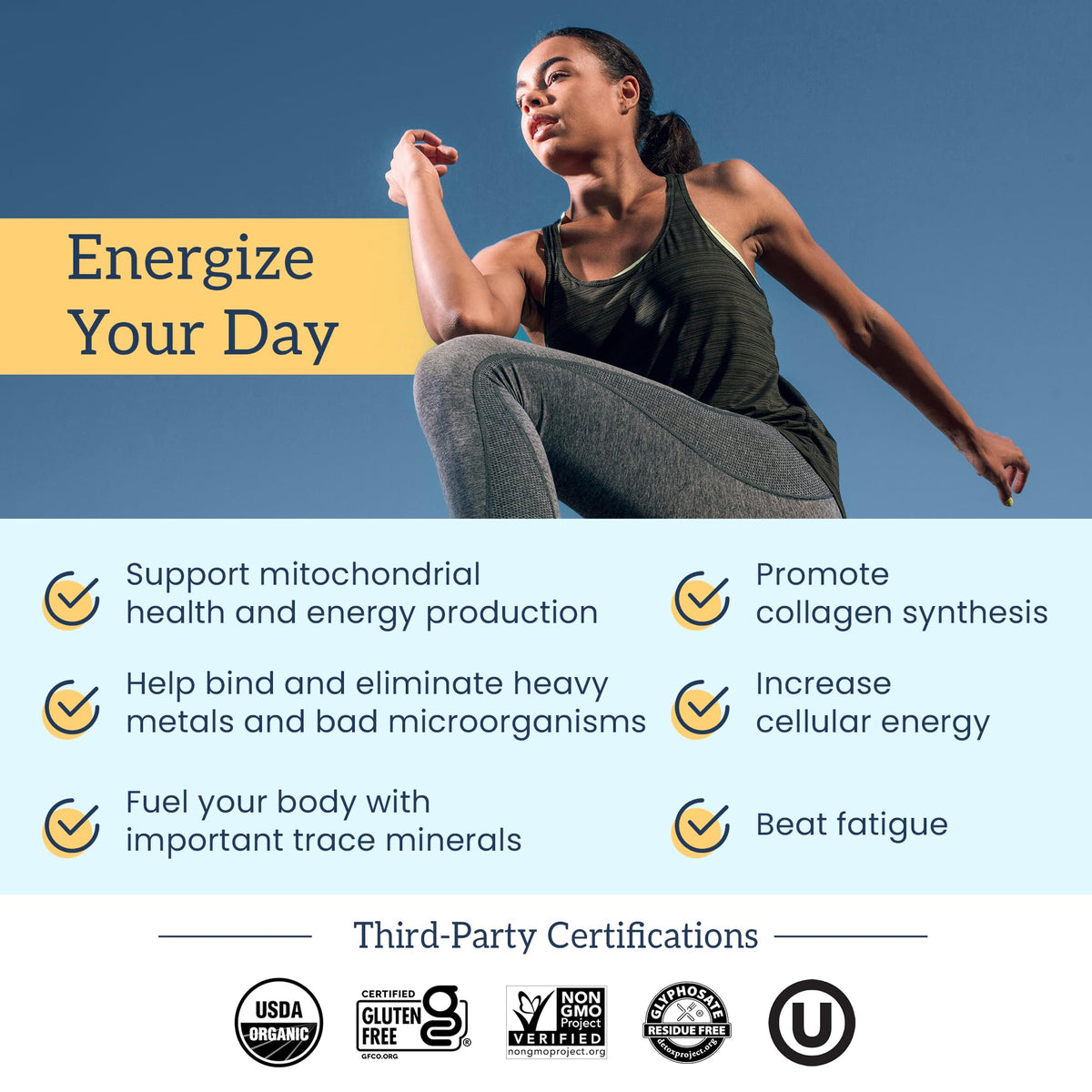Emballage des gummies Shilajit Organifi avec informations nutritionnelles