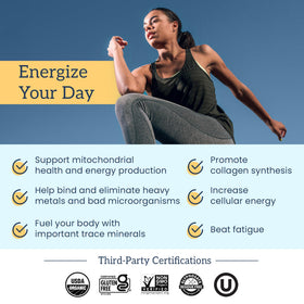 Emballage des gummies Shilajit Organifi avec informations nutritionnelles