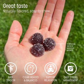 Emballage des gummies Sunsoil Bio avec ingredients