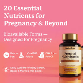 Emballage des multivitamines prénatales Wellanova