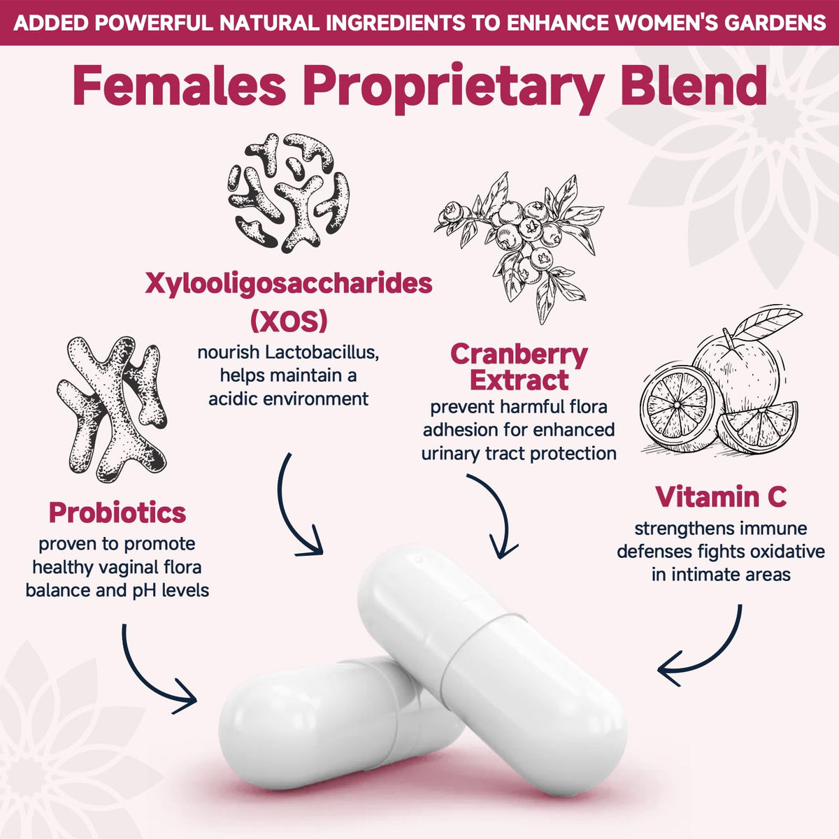Emballage des Probiotiques Vaginales DRFOSTER