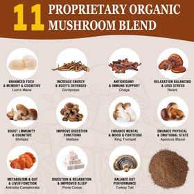 Emballage du café aux champignons OLOBIO 118g