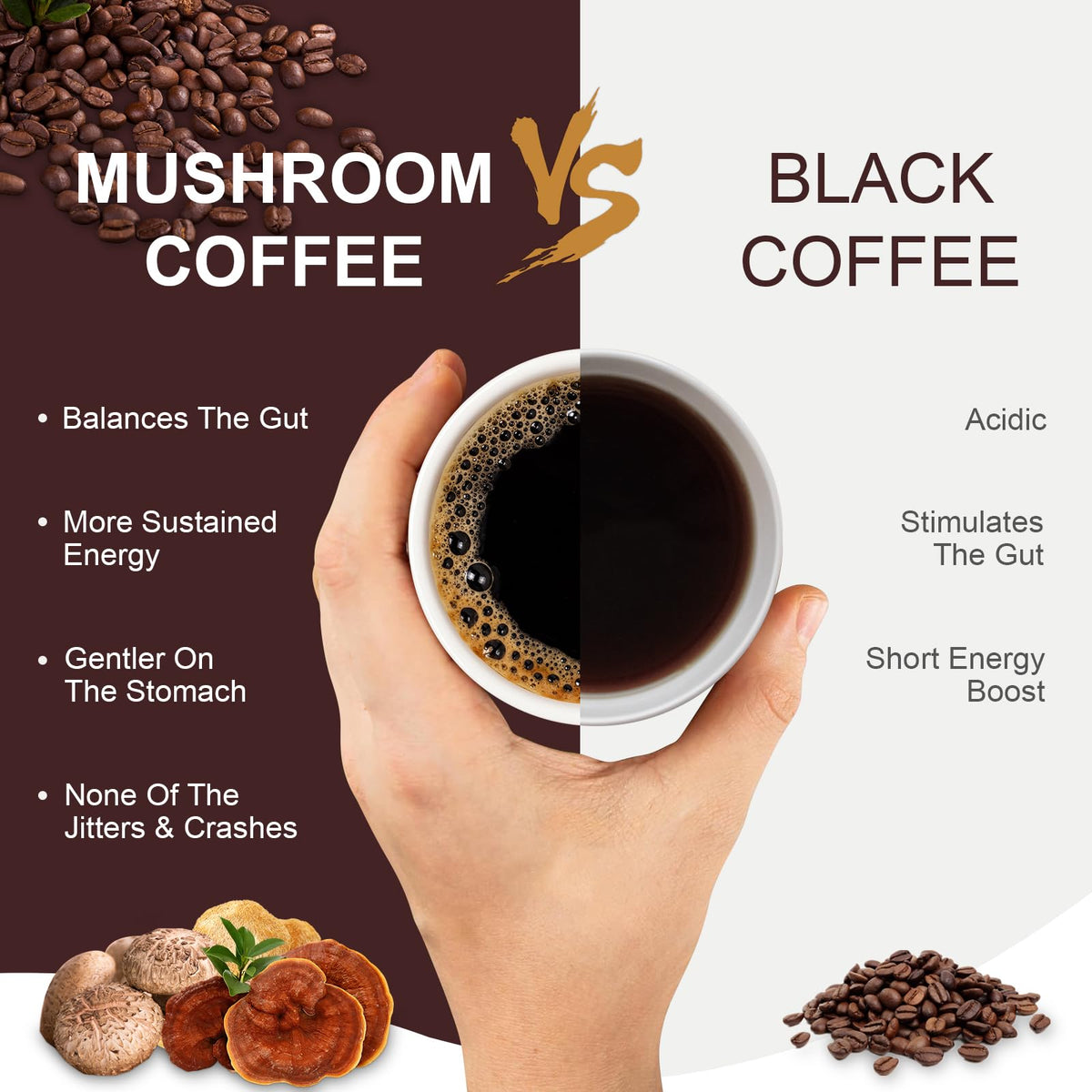 Emballage du café champignon Bcuelov 380g