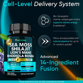 Emballage du combo Adndale SeaMoss et Shilajit