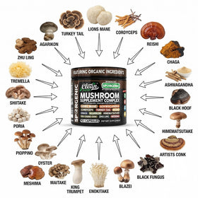 Emballage du complément alimentaire Clean Nutraceuticals avec champignons bio