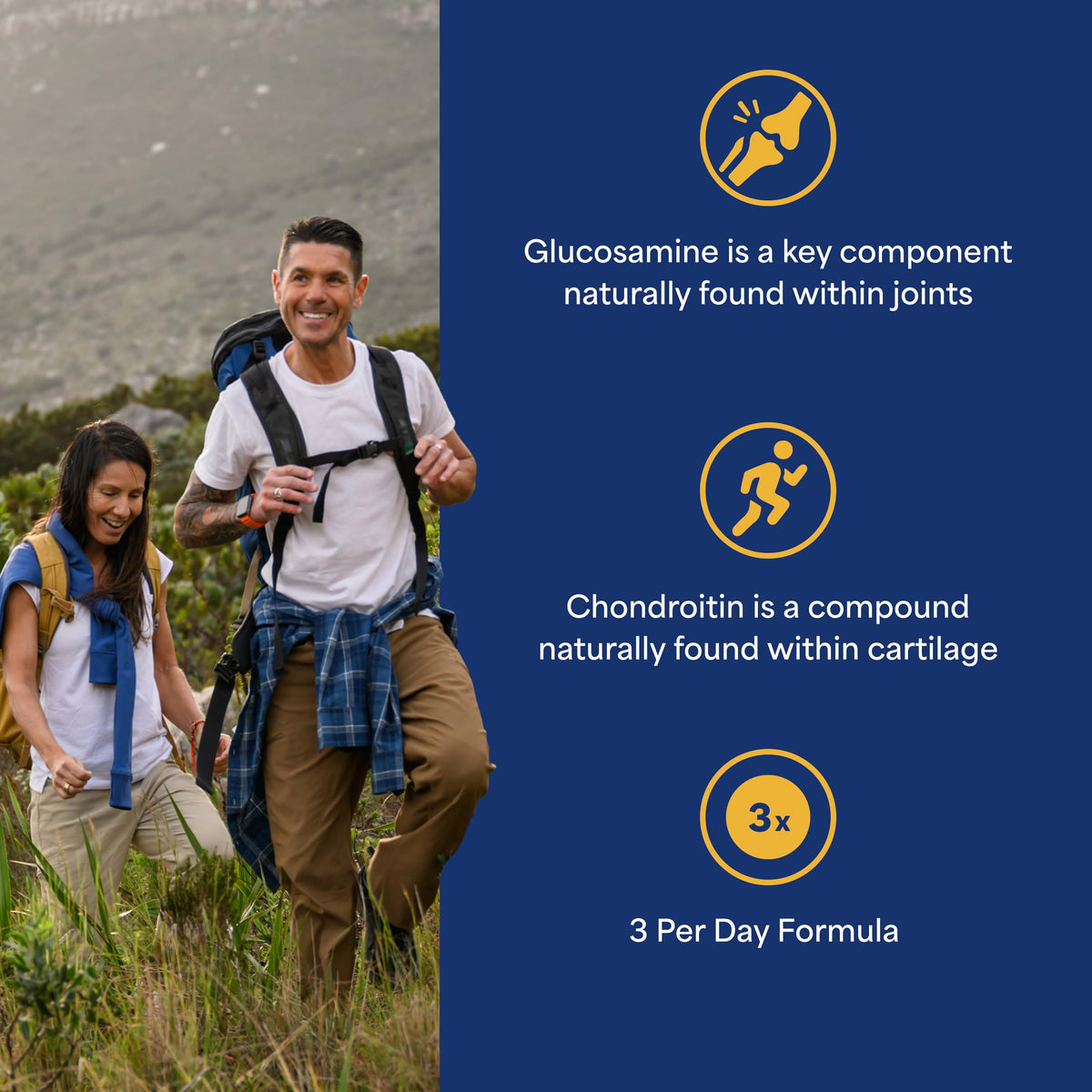 Emballage du complément alimentaire Glucosamine Chondroïtine MSM