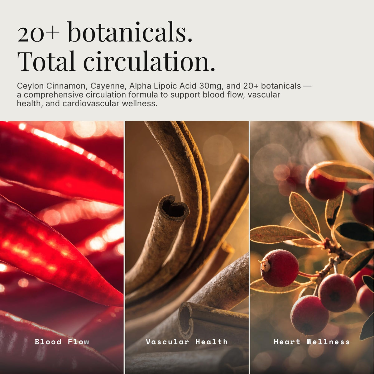 Emballage du complément Circulation+ de Dear Apothecary