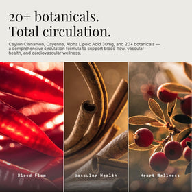 Emballage du complément Circulation+ de Dear Apothecary