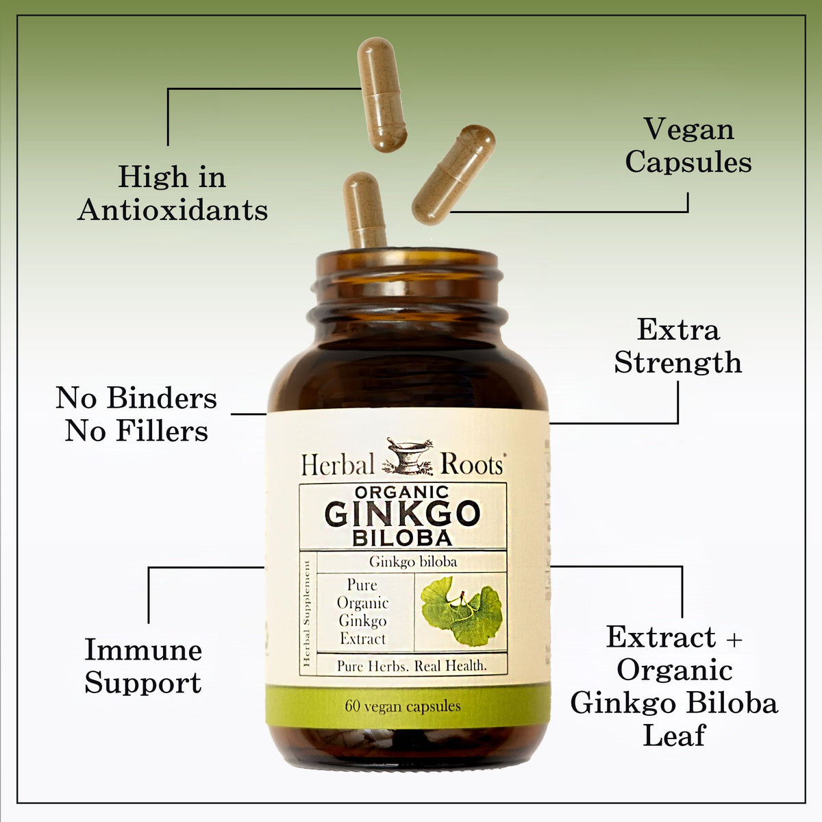 Emballage du complément Ginkgo Biloba Herbal Roots dans un environnement naturel