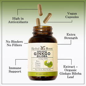 Emballage du complément Ginkgo Biloba Herbal Roots dans un environnement naturel