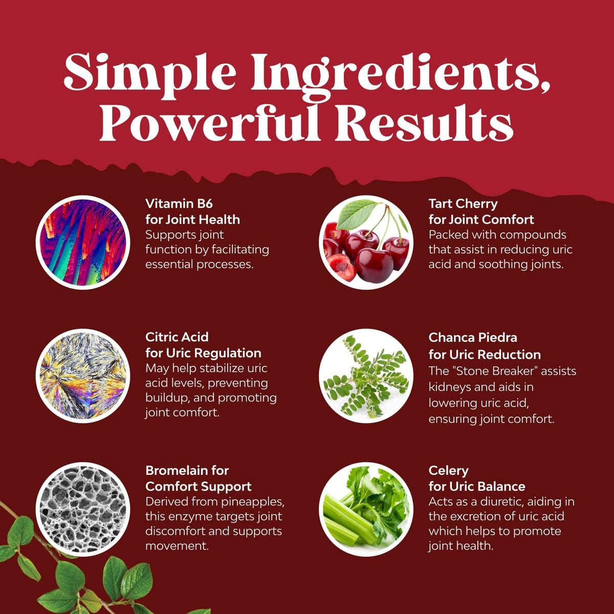 Emballage du complément Natures Craft Soutien Uric Acid, informations nutritionnelles