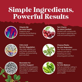 Emballage du complément Natures Craft Soutien Uric Acid, informations nutritionnelles