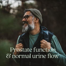 Emballage du complément Zyflamend Prostate New Chapter