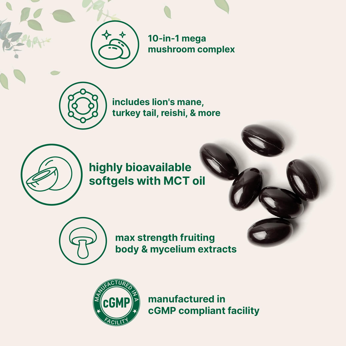 Emballage du Complexe de Champignons 10-en-1 de Micro Ingredients
