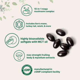 Emballage du Complexe de Champignons 10-en-1 de Micro Ingredients