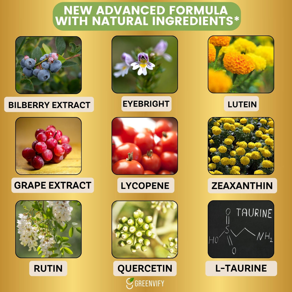 Emballage du GRENVIFY VisiFlora Max Complément Oculaire