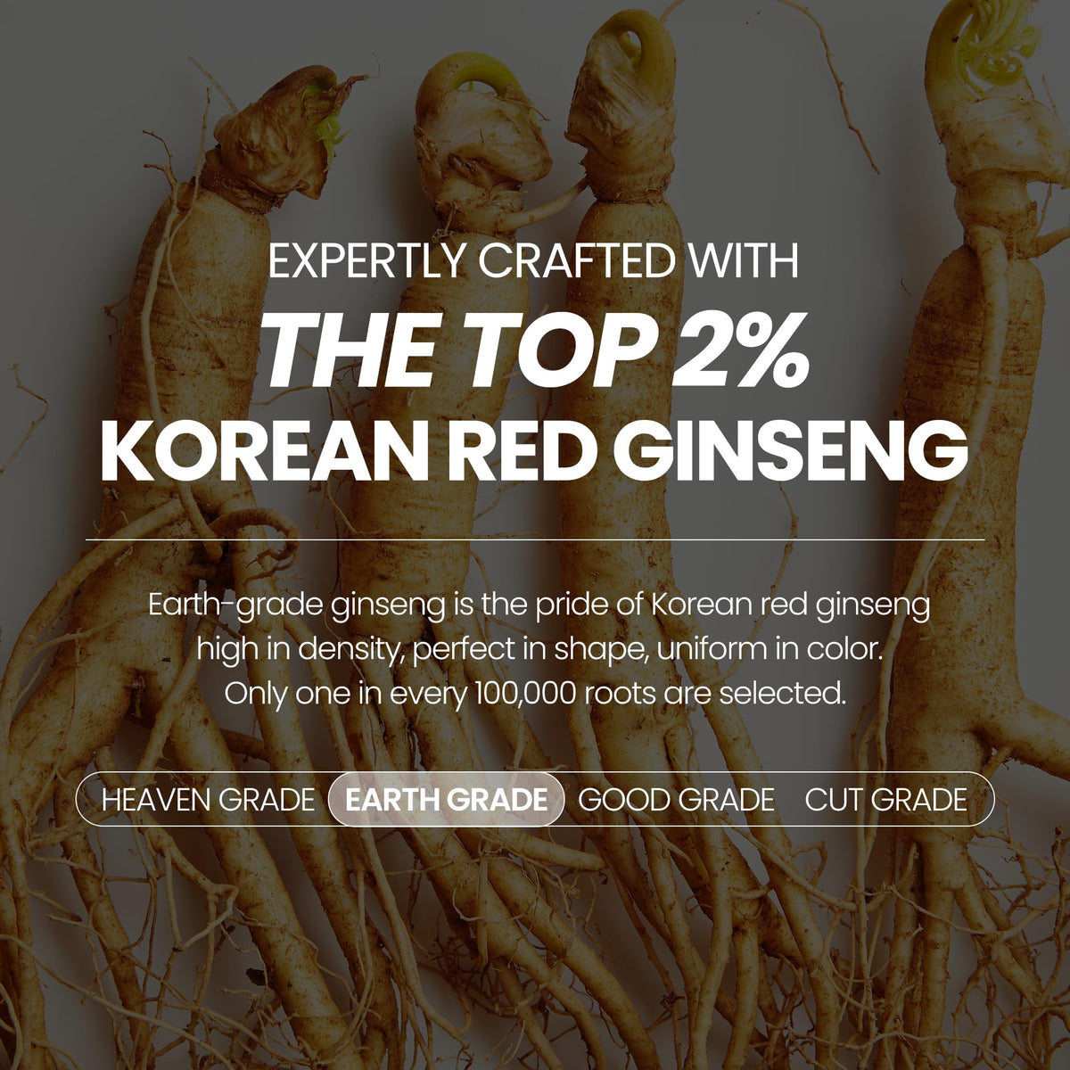 Emballage du produit JUNG KWAN JANG Extrait de Ginseng Rouge Coréen