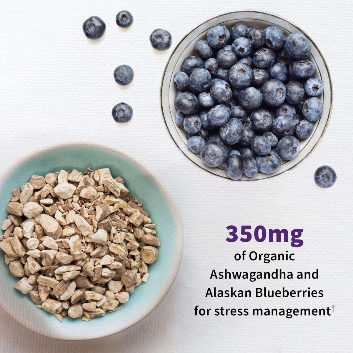 Emballage Garden of Life Probiotiques Mood+ 60 capsules