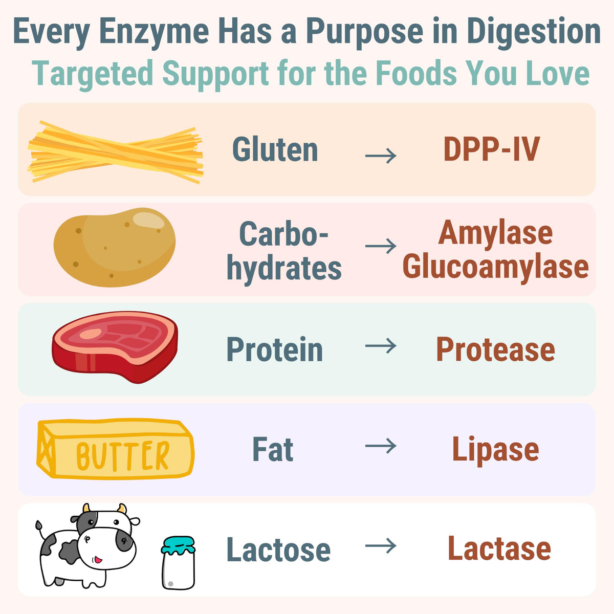 Emballage Gummies Enzymes daily Lactase SHIZAM