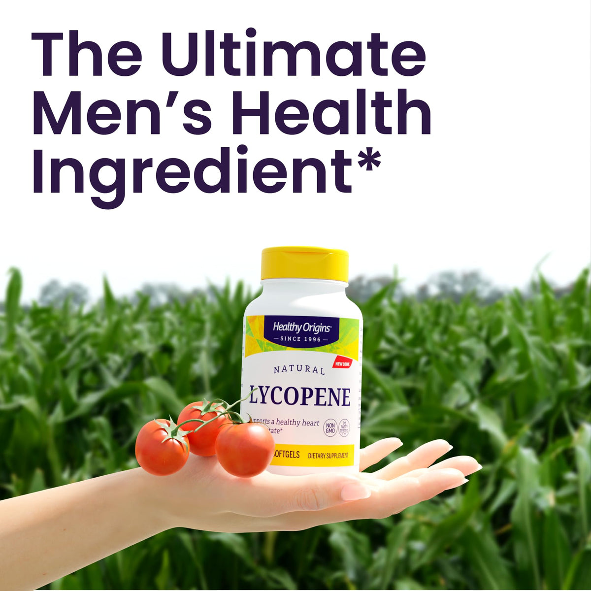 Emballage Healthy Origins Lycopène 15 mg