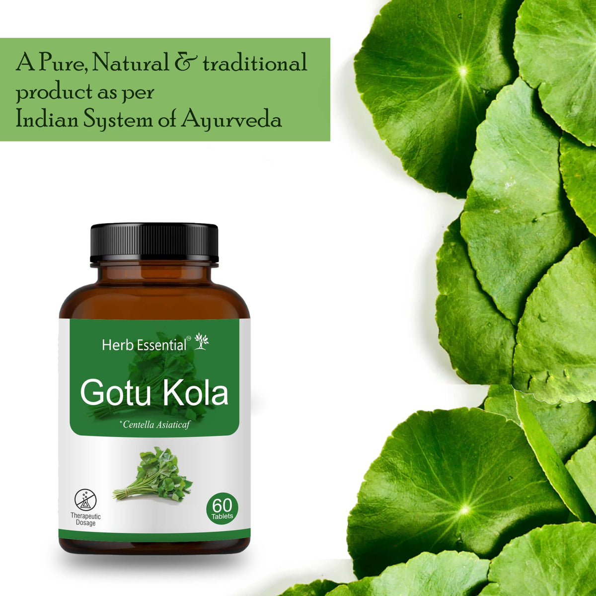 Emballage sécurisé des comprimés Herb Essential Gotu Kola