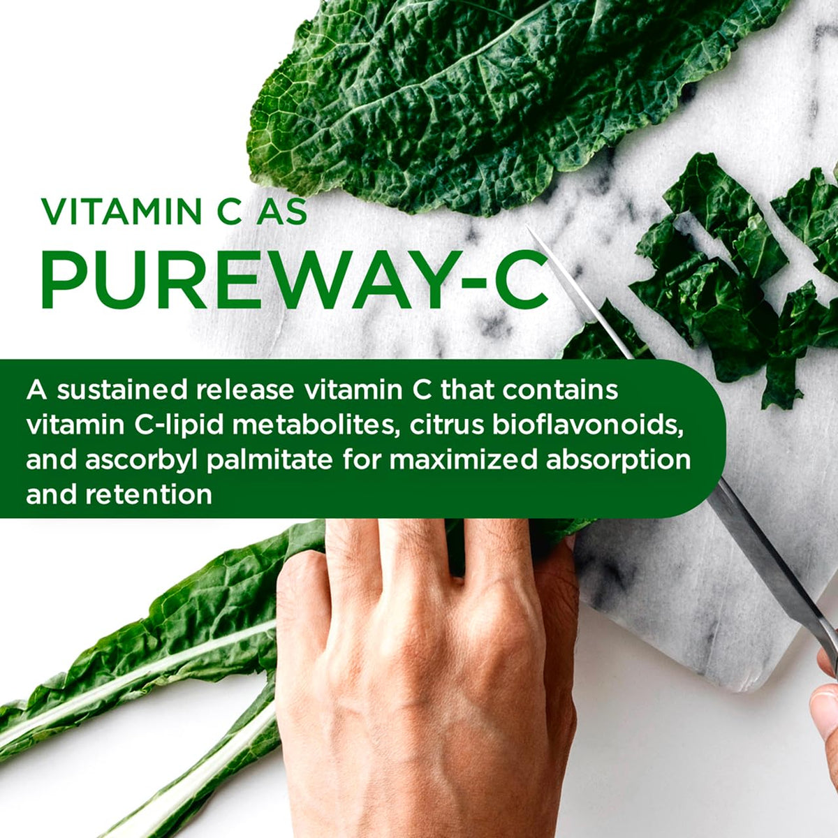 EMERALD LABS Multivitamines Complètes Premium 60 Capsules Végétales ouverte avec capsules