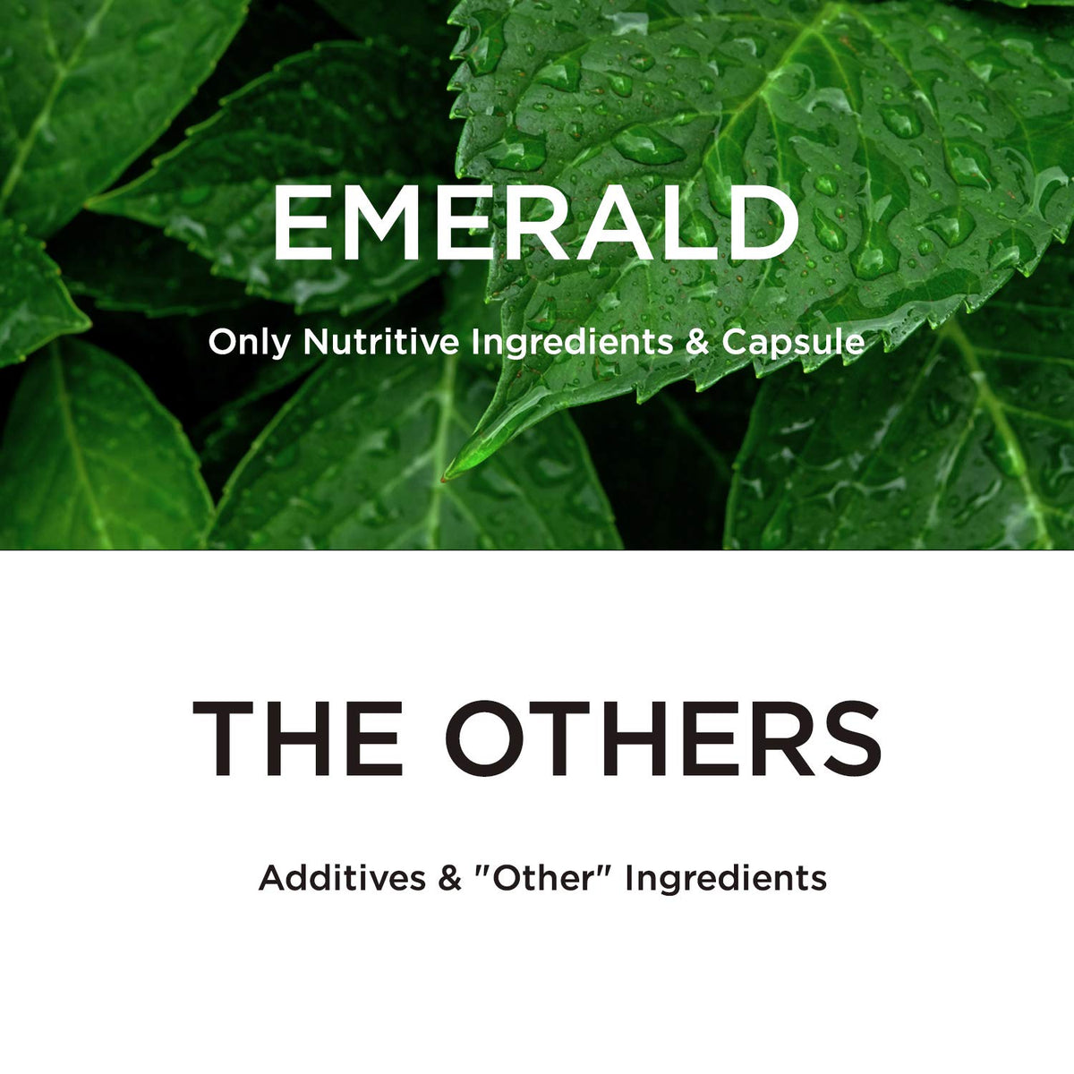 EMERALD LABS Vitamine D3 2 500 UI capsules végétales avec étiquette