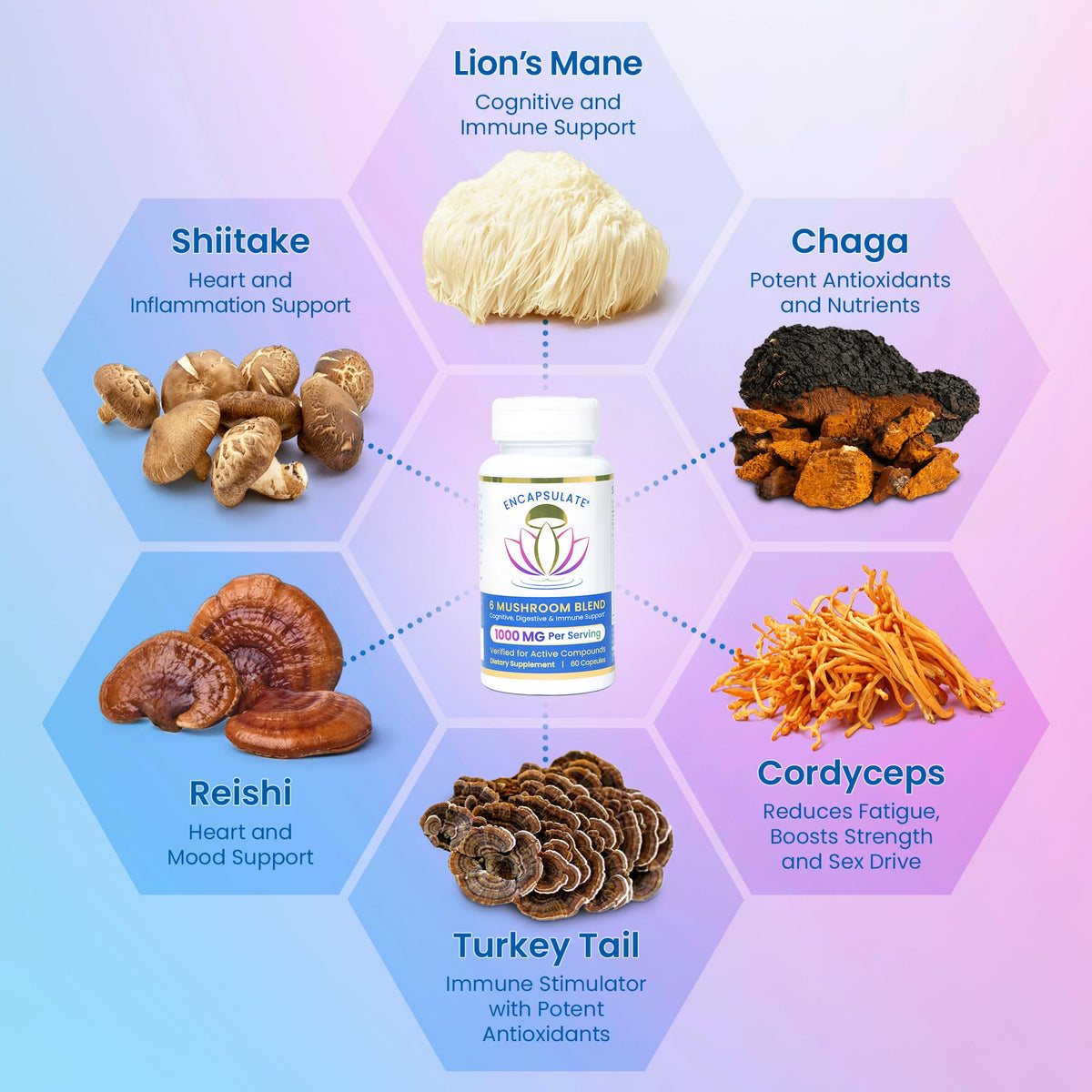 ENCAPSULATE Mélange de 6 Champignons 60 Capsules arrière avec étiquette