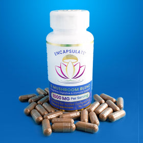 ENCAPSULATE Mélange de 6 Champignons 60 Capsules dans un environnement de cuisine