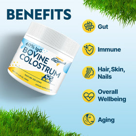 Energievoll colostrum bovin en poudre mélangé dans un smoothie