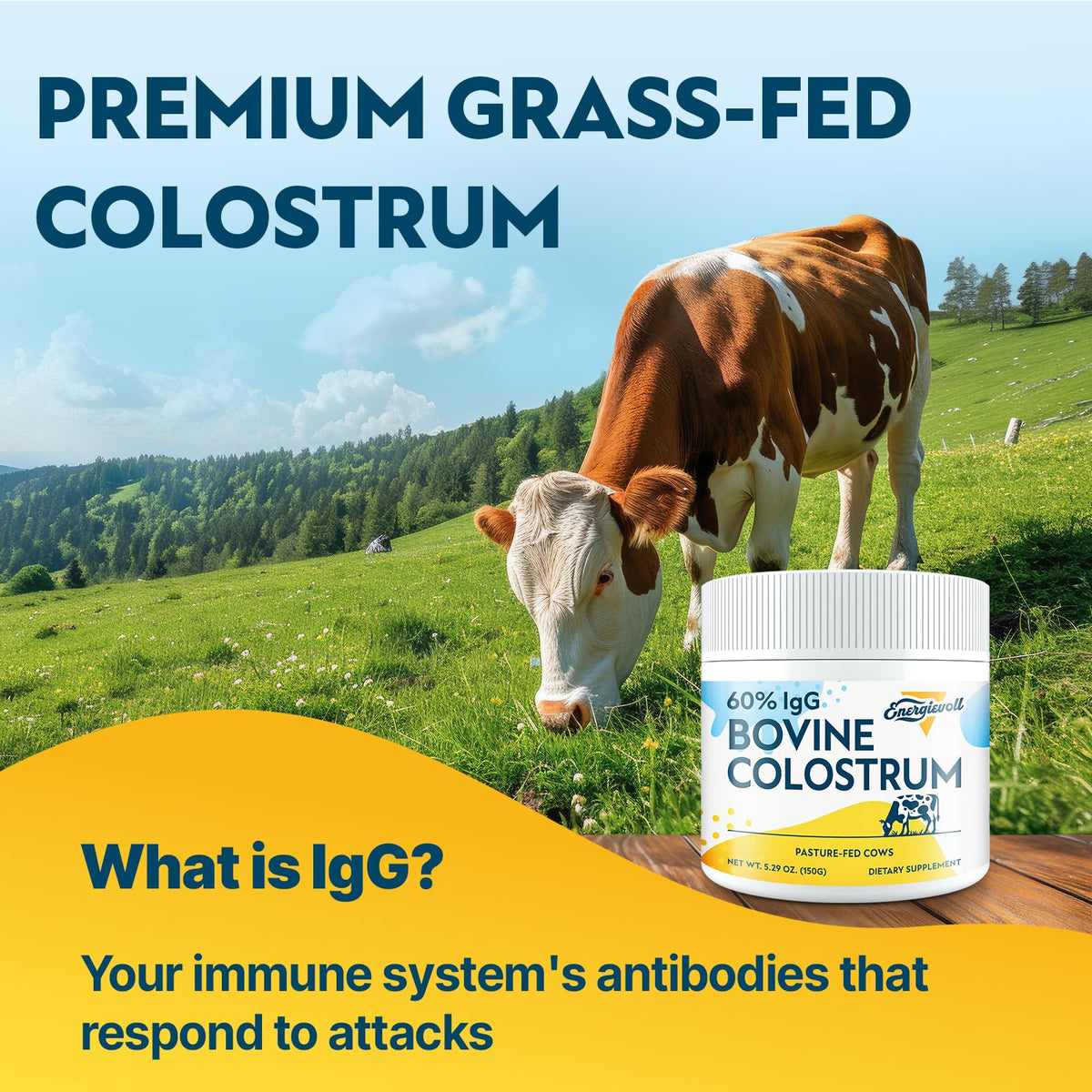 Energievoll colostrum bovin en poudre sur une table en bois