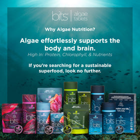 ENERGYBITS BEAUTYbits spiruline bio emballage arrière