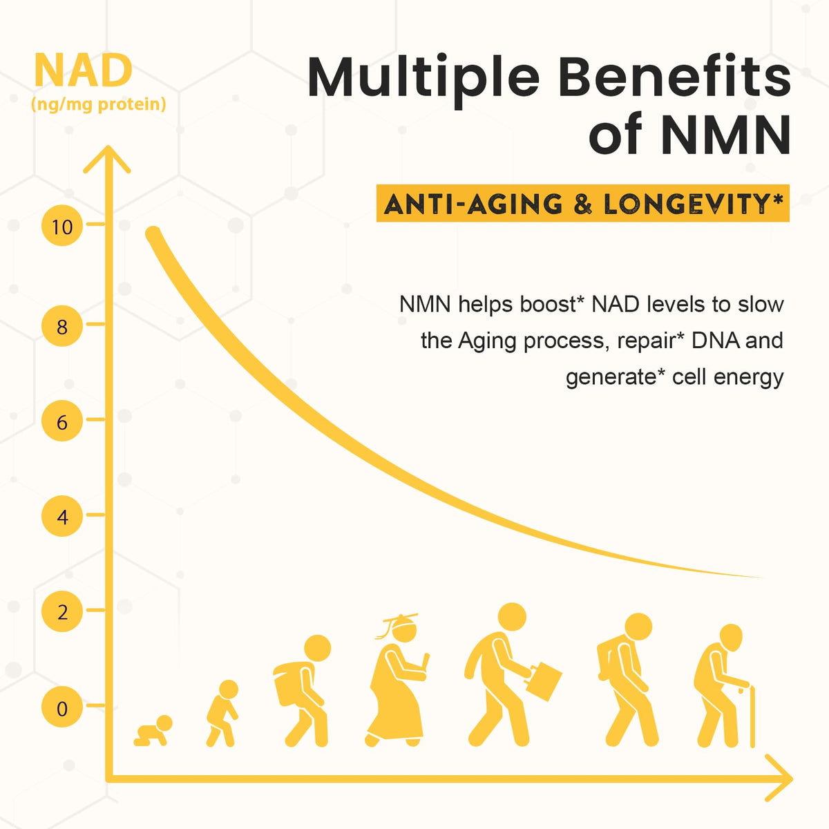 Enprotess NMN 500mg emballage avec détails de dosage