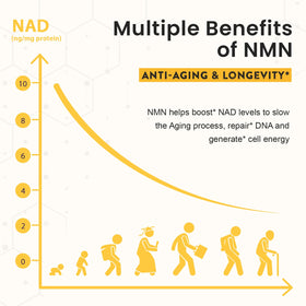 Enprotess NMN 500mg emballage avec détails de dosage