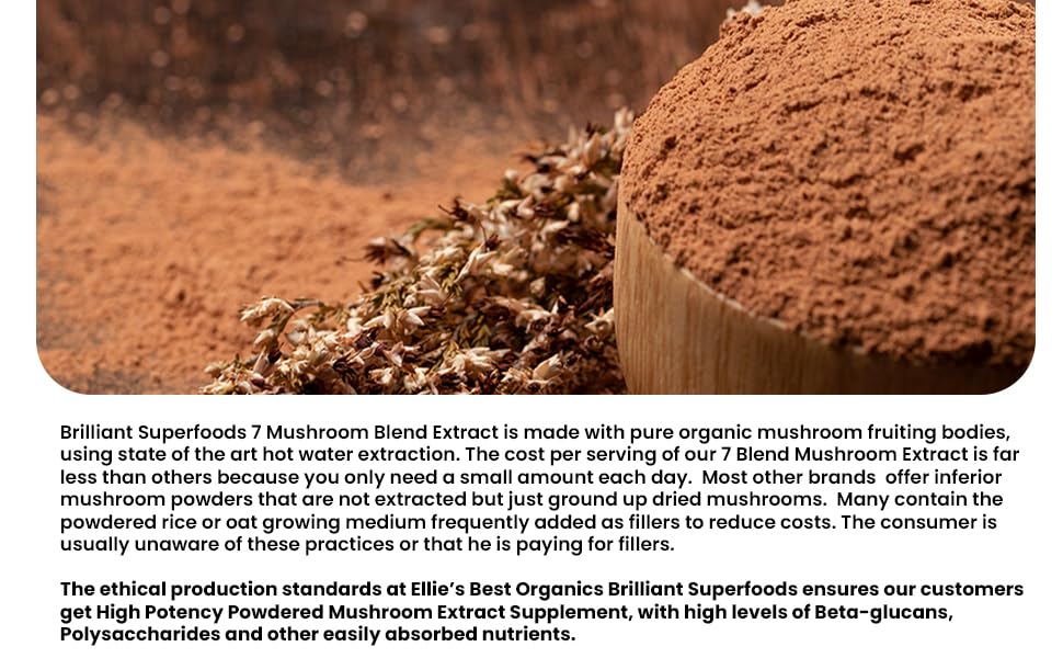 Ensemble de 7 champignons utilisés dans le mélange Ellie's Best
